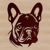 Adorable French Bulldog Face Illustration A detailed illustration of a French Bulldog's head, suitable for digital design.