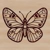 A colorful illustration of a single butterfly in flight.