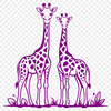 An SVG graphic representation of a tall mammal native to Africa.