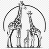 Unique Coat Pattern Illustration A tall mammal with a distinctive coat pattern and long neck.