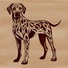 Beautiful Dog Breed Graphic Large dog breed illustration featuring a Great Dane in standing position.