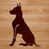 Friendly Giant Dog Breed A large breed dog, a Great Dane, sitting on its haunches.