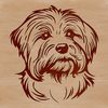 Free Vector Art of a Small White Dog A free-standing illustration of a small dog breed known as the Havanese.