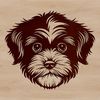 Breed Specific SVG Template A breed-specific template illustration of a Havanese dog's head.
