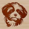 Havanese Dog Silhouette A small breed dog with a curly coat, shown from a front-facing perspective.