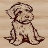 A small breed dog with a curly coat sitting on the floor.