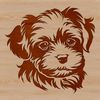 Havanese Dog Silhouette Vector A digital illustration of a Havanese dog's head, suitable for vector art and design projects.