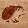 Sweet Spiky Animal Design A vector illustration of a cute and small spiky mammal.