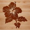 A detailed illustration of a Hibiscus flower, suitable for graphic design and crafting projects.