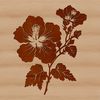 A vibrant illustration of a hibiscus flower with large, showy blooms.