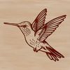A colorful hummingbird in mid-air, its wings spread wide as it hovers near a flower.