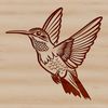 A detailed vector illustration of a hummingbird in mid-flight, showcasing its iridescent feathers.