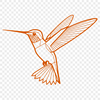 Detailed SVG Design - Hummingbird Silhouette A detailed illustration of a hummingbird in flight, suitable for vector design.