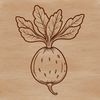 An edible root vegetable with green leaves and white roots.
