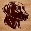 Beautiful Lab Retriever Clip Art A digital illustration of a Labrador Retriever's head, suitable for vector design projects.
