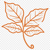 Vector illustration of a single leaf with intricate details, ideal for vector design and digital projects.
