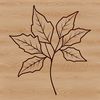 Detailed Leaf Drawing in SVG Format A detailed illustration of a single leaf with complex veins and edges.