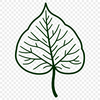 A detailed illustration of a single green leaf with veins and edges.