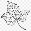 Leaf SVG Cut File for Crafts A stylized leaf illustration suitable for digital and paper crafts, designed as a vector graphic.