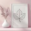 Beautiful Free Leaf Clip Art SVG A detailed illustration of a leaf in vector format, suitable for use in digital design and cutting machine projects.