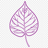 A single leaf with detailed veins and edges, suitable for vector design projects.