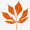 A stylized leaf illustration A digital illustration of a leaf in vector format.
