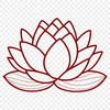 Sacred Plant Illustration A detailed illustration of the lotus flower, a symbol of spiritual growth and enlightenment in various cultures.