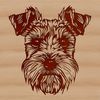 Adorable Mini Breed Portrait A stylized illustration of a miniature schnauzer dog's head, suitable for vector graphics.