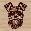 Miniature Schnauzer Face Illustration A vector illustration of the head of a miniature schnauzer breed dog.