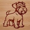 A medium-sized dog with a distinctive beard stands on its hind legs.