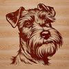 Cute Dog Breed Facial Features Close-up A small-sized dog breed with distinctive facial features.