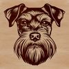Beautiful Miniature Schnauzer Portrait Portrait of a Miniature Schnauzer dog with distinctive beard and eyebrows, ideal for vector art designs.