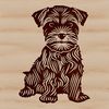 Faithful Furry Friend A small breed dog with distinctive facial features and beard sitting on its haunches.