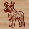 A standing miniature dog breed with distinctive facial features and wiry coat.