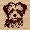 Morkie Breed Portrait A small dog with a Morkie breed profile, suitable for vector art design.