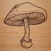 Illustrated Mushroom Vector Art A detailed illustration of a mushroom with stem and cap, suitable for vector art projects.