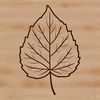 A stylized illustration of a leaf in vector format, suitable for commercial or personal use in various design projects.