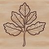 A simple vector illustration of a green leaf, ideal for digital designs and craft projects.