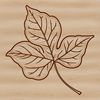 Free Nature Clip Art Download A single leaf illustration created as a vector graphic for digital use.