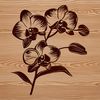 Delicate Orchid Plant Art A colorful illustration of a single orchid flower with delicate petals and a central stem.
