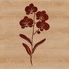 A detailed illustration of a single white orchid flower with curved petals.