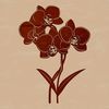 A stylized illustration of a purple orchid flower with delicate petals.