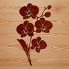 A detailed digital illustration of a single orchid flower with intricate petals and stem.