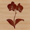 Elegant Orchid Blooms A detailed illustration of a single orchid flower with intricate petals and center, suitable for vector art projects.