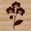 A detailed illustration of a blooming orchid plant with delicate petals and stems.