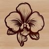 Vibrant Purple Orchid Illustration A detailed illustration of a purple orchid flower with delicate petals and stems.