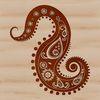 Ornate paisley shape used as an embellishment in graphic design.