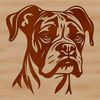 A digital illustration of a Boxer dog breed, suitable for vector graphics projects.
