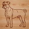 Adorable Boxer Dog Breed Illustration A standing dog breed with short coat, identified as a Boxer.