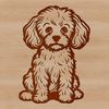 A sitting Poodle illustration suitable for vector art and design projects.